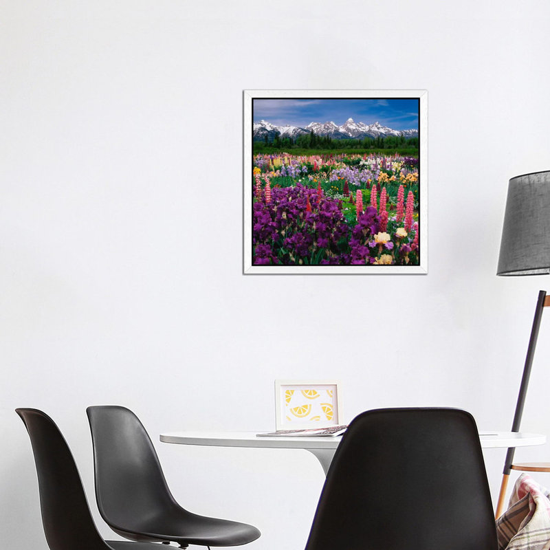 Iris & Lupine Field, Grand Teton National Park, Teton County, Wyoming, Usa by Adam Jones - Print on Canvas
