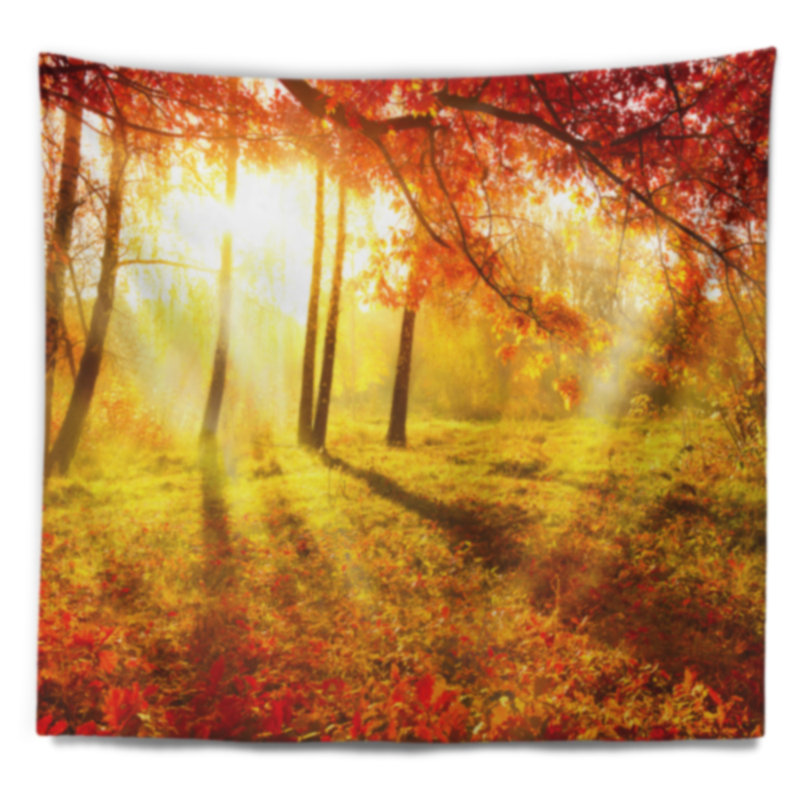 Photographie de paysage autumnal park tapestry, H 32 po x l 39 po