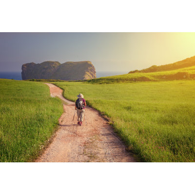 " Pilgrim Walking " by Jarcosa