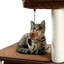Tour à chat 51,5 po en bois pour chats d'intérieur avec maisonnette pour chat confortable-761192163