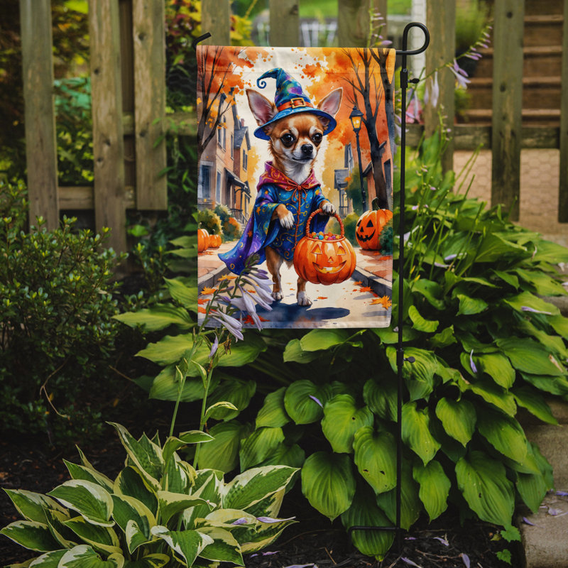 Drapeau du jardin Mastiff, Chihuahua