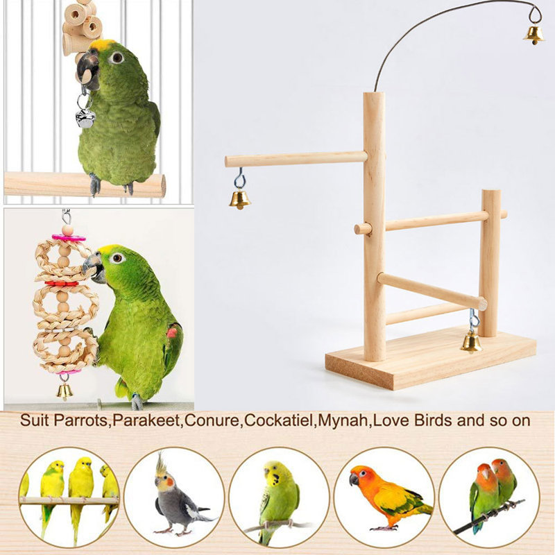 11.8'' Bird Play Gym