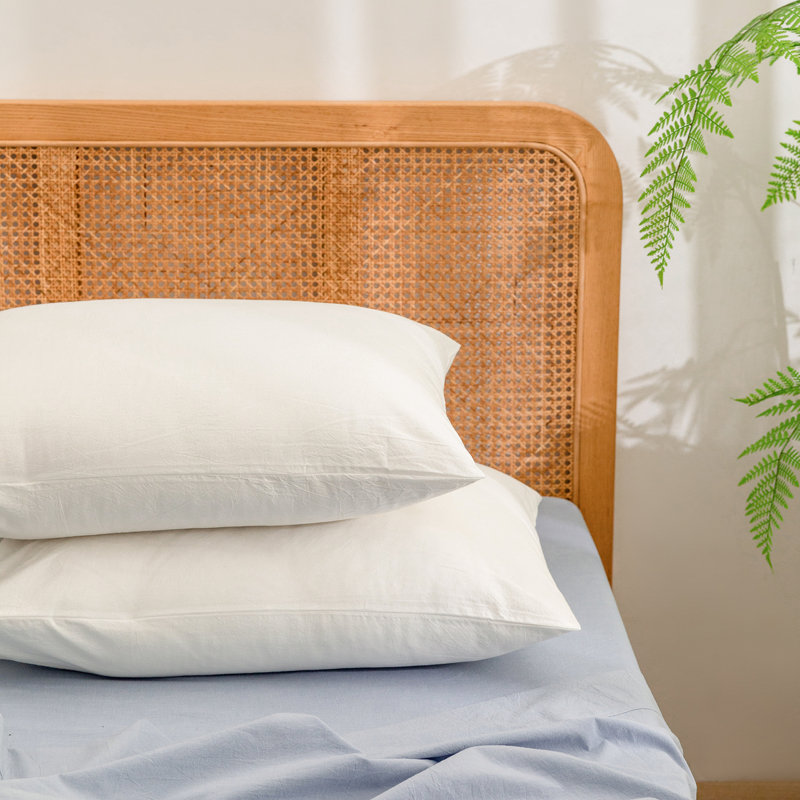 Housse de coussin 100% coton délavé Bestouch, Standard (20 po x 26 po), Vert sauge