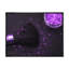 «Purple Glitter Sparkle», reproduction d'art sur toile Glam-580894838-580894839