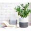Ceramic Planter-1334708