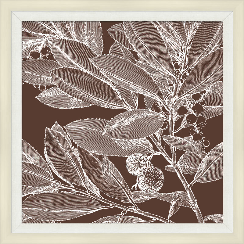 Brown Briar 2 Print