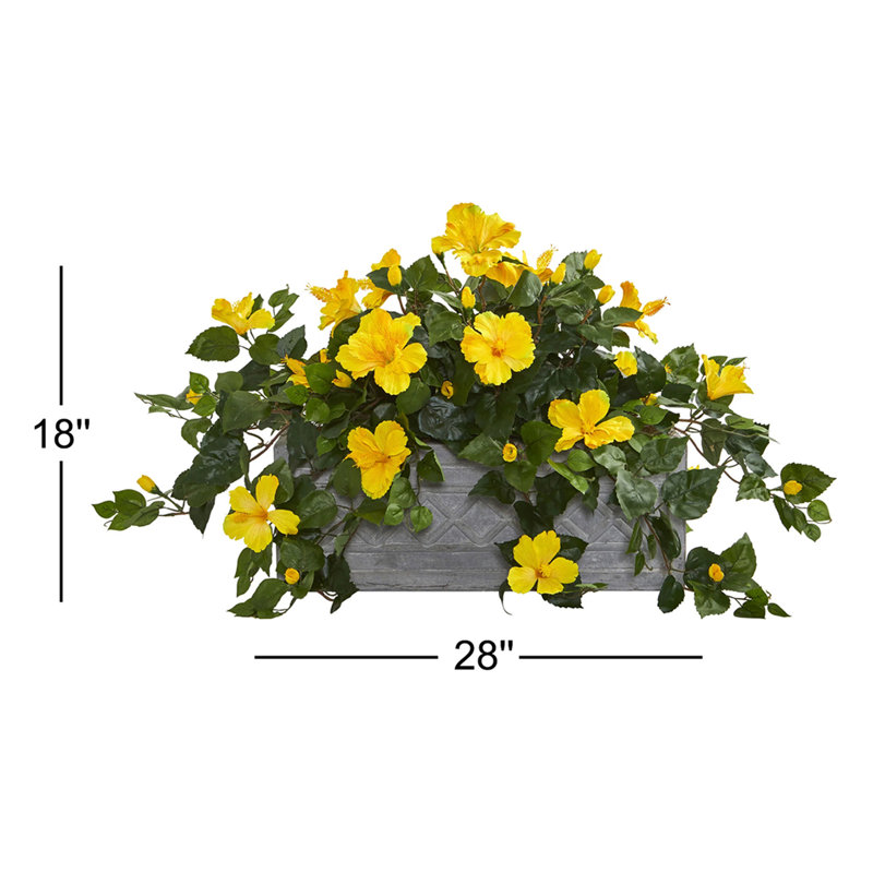 Hibiscus Arrangement in Planter