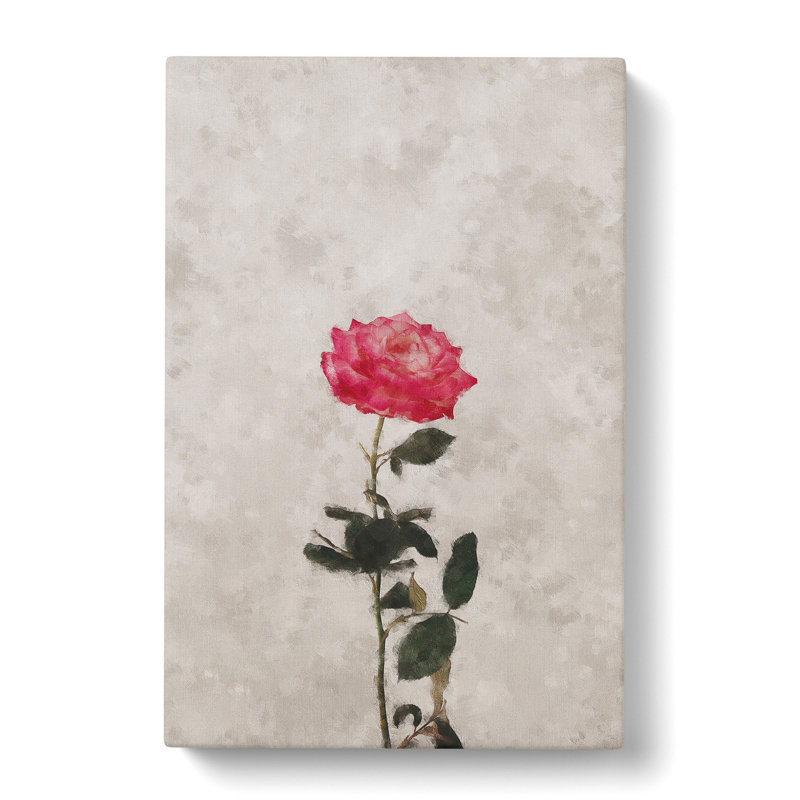 Climbing Pink Rose - Wrapped Canvas Painting, 60cm H x 40cm W x 3cm D