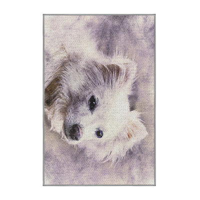 Tapis zone grise dog