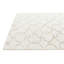 Tapis ivoire Oarte
