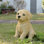10" Labrador Puppy Statue