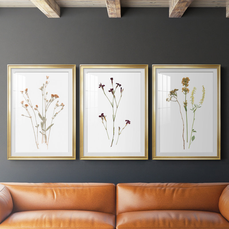 Pressed Botanical I, reproduction encadrée de qualité supérieure, prête à être accrochée, Or