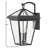 Alford Place 3 - Bulb Outdoor Wall Lantern-2013401614