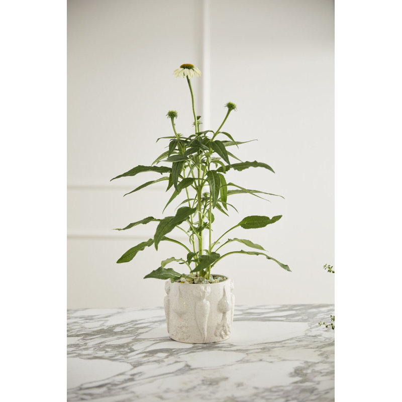 Pot à légumes