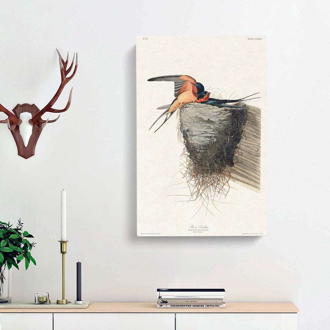 Barn Swallows by John Audubon - Wrapped Canvas