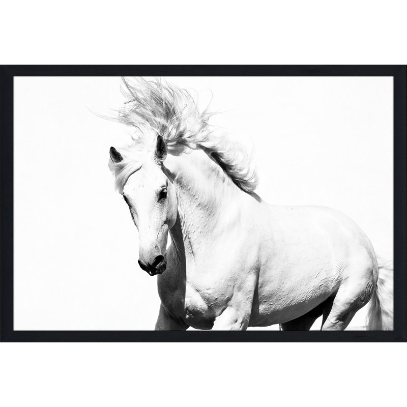 « cheval running », reproduction de photo encadrée, H 35,5 po x l 51,5 po x P 0,75 po