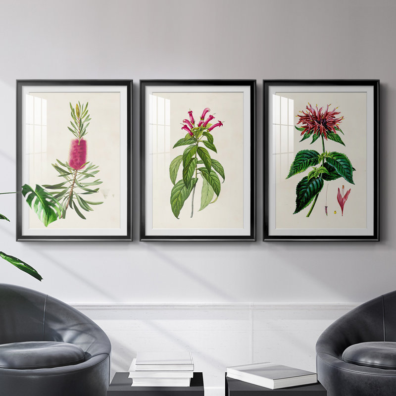 «Pretty Pink Botanicals VII», reproduction encadrée de qualité supérieure - prête à être accrochée, Cadre noir