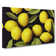Selection Of Lemon Fruit Vol.2 - Wrapped Canvas Print