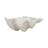 Decorative Bowl Resin Polyresin Wavy Shell Design Coastal Style for Home Office Bedroom Living Room Centerpiece Display - 5" Ivory & Tan
