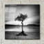 «Millarrochy Tree» par Nina Paponcek, art mural en verre acrylique-102029425
