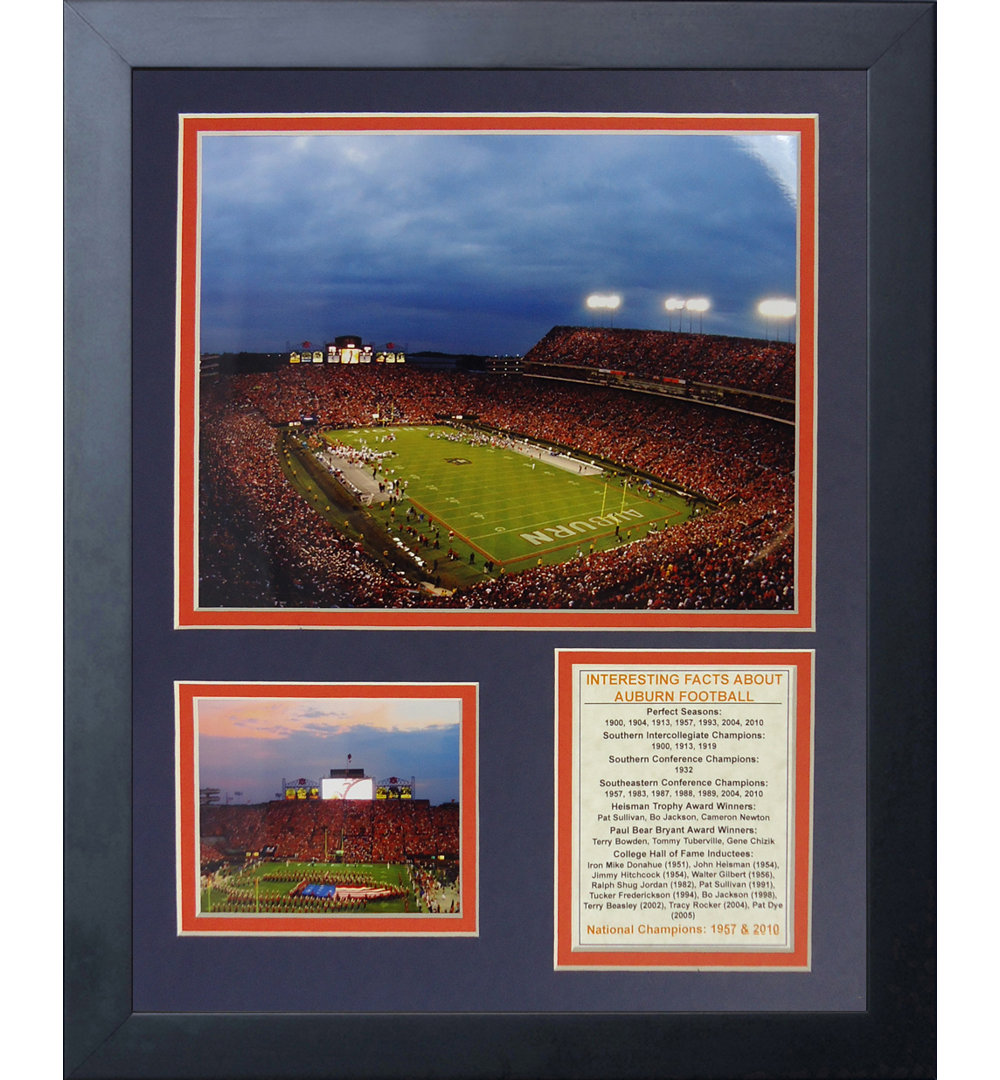 Auburn University Tigers Jordan-Hare Stadium Framed Memorabilia Legends Never Die