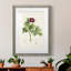 «Pretty Botanicals III», cadre photo-1776683588-1776683592