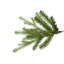 Nordic Artificial Christmas Tree-33138691