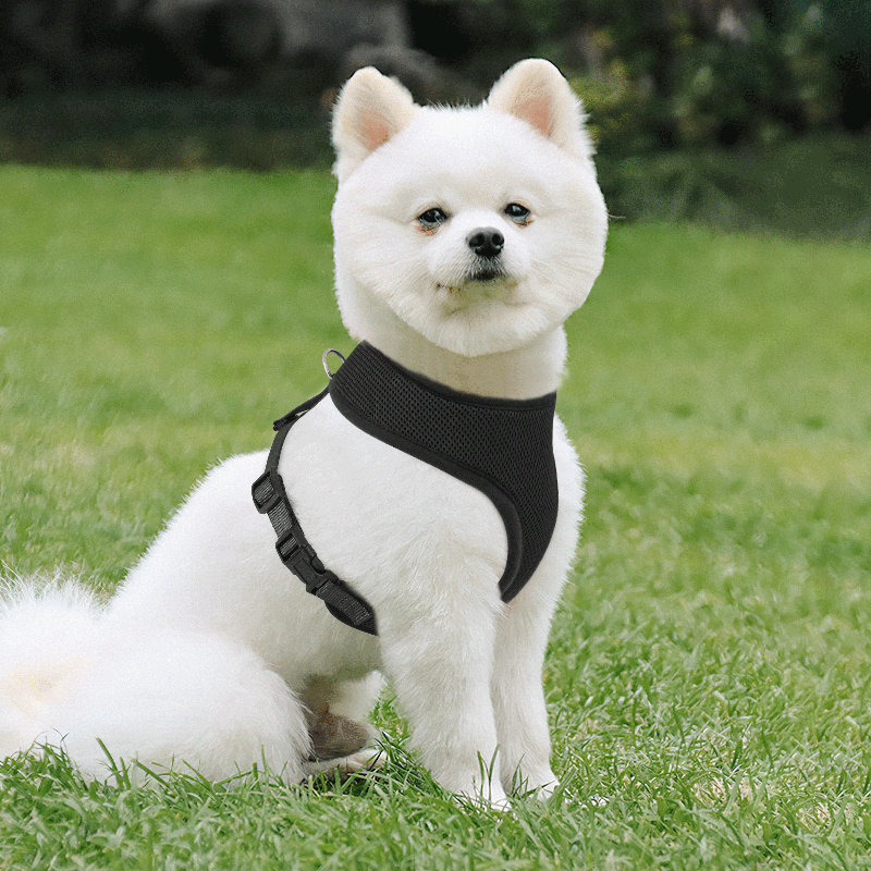 Harnais pour chien en maille, harnais anti-traction ajustable et rembourré avec anneau en D et boucle pour chiens, Noir