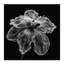 Print on Canvas-25210635-25210644