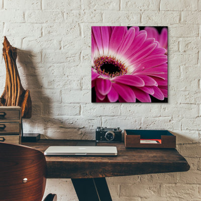" Gerbera Daisy " by Pamela Plummer