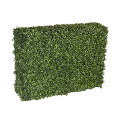 Hedge