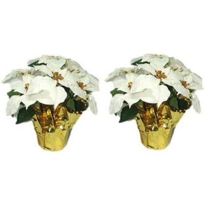 Grande grande plante de poinsettia en soie blanche, décorations de Noël incroyablement réalistes et réalistes, 17 po x 15 po (paquet de 2)