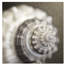 Ocean Charms I Print by Mari Urasawa-26773747-26773751