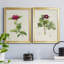 «Pretty Pink Botanicals II», ensemble de 2 impressions sur toile encadrées-1800022737-1800022747