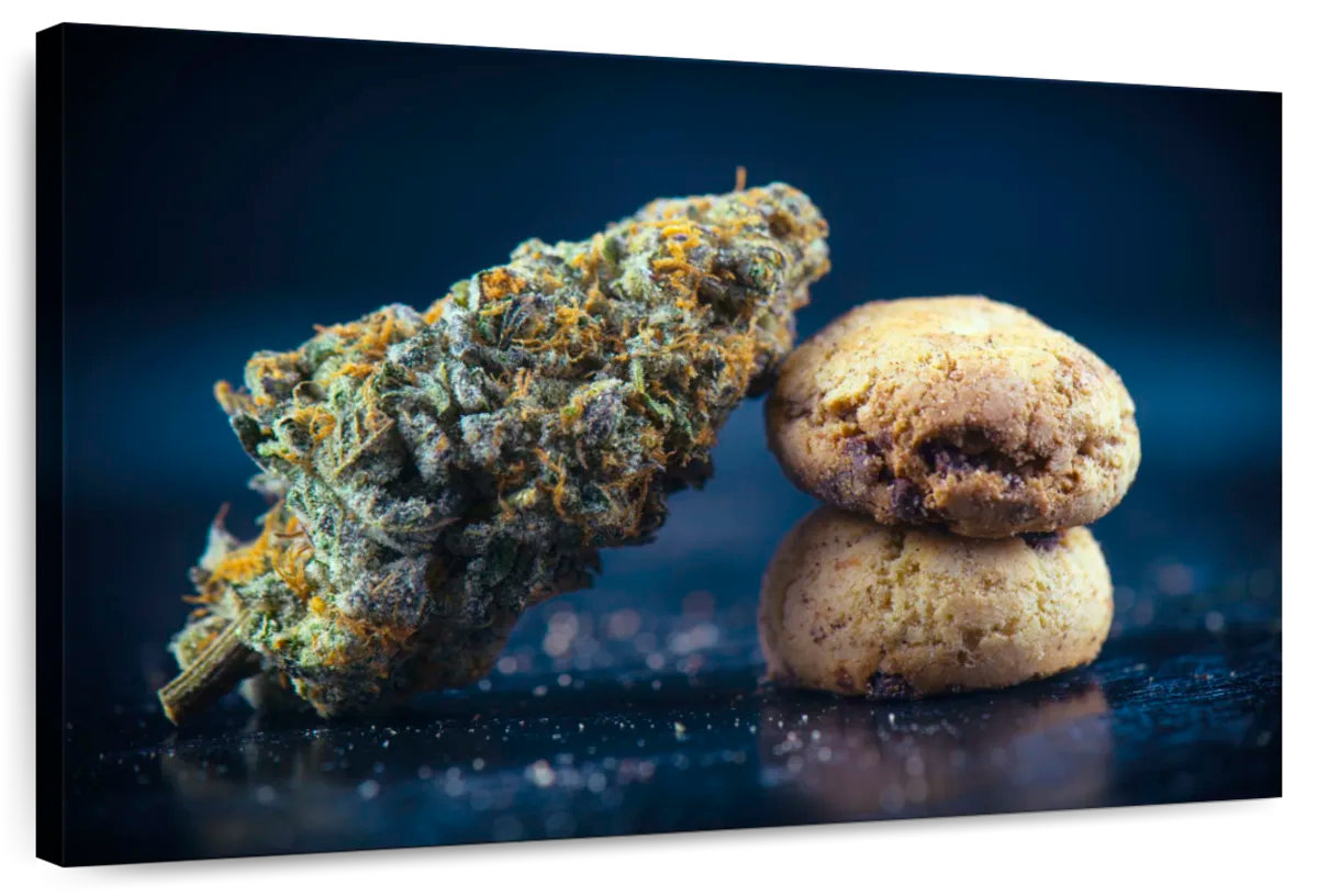 Marijuana Sweets Elephant Stock Marijuana Sweets - Wayfair Canada