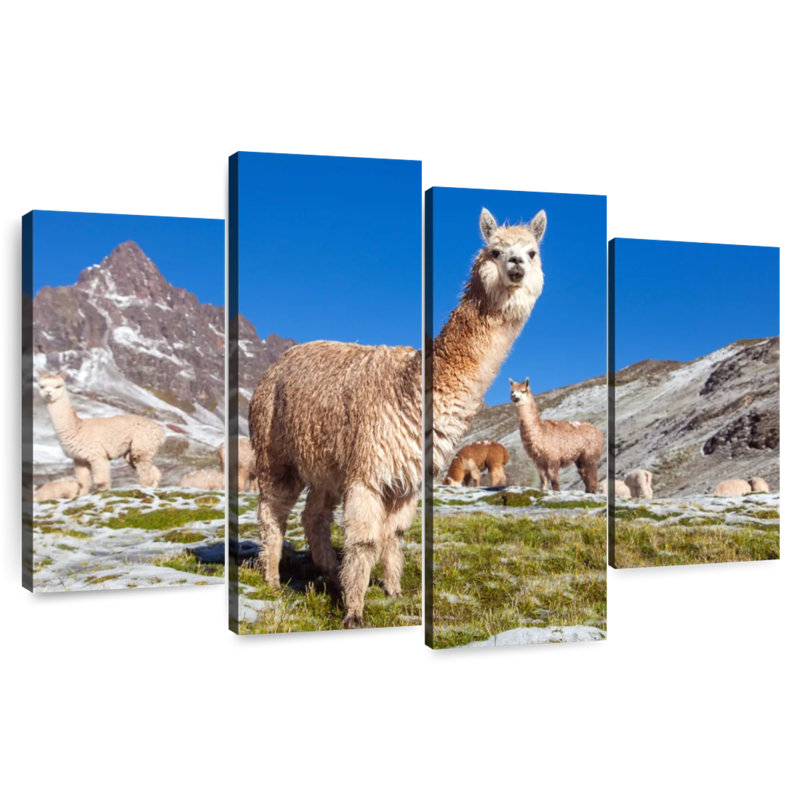 Brampt Woolly Andes Llamas, 27" H x 43" W