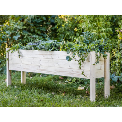 Fidelas Wood Elevated Planter