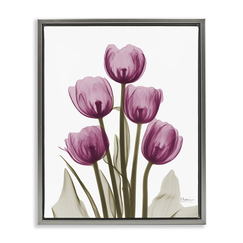 Tulipes roses à rayons X, H 17 po x l 21 po, Cadre flottant gris lustré