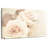 Harnek Sweet Vintage Roses-107676954