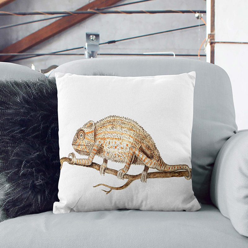 Square Cushion, Black, 55cm H x 55cm W x 20cm D