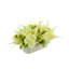 Peony, Fern and Sedum Arrangement in a Ceramic Pot