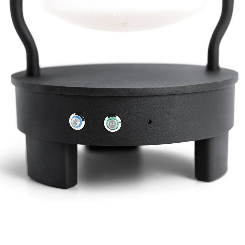 Jaylynn 48.4cm Battery Powered Outdoor Lantern