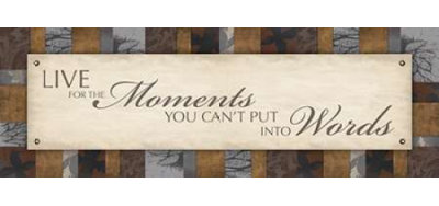 Moments, reproduction d'affiche par Jace Gray (36 x 9) JGPL077B