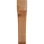 Attelle de genou Legacy-64784746-64751483