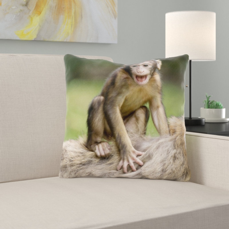 Coussin ape
