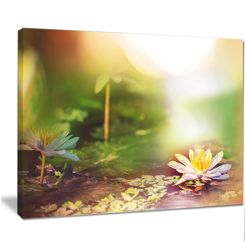 « lotus fleurs on green background », impression sur toile tendue, H 12 po x l 20 po