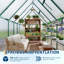 Serre en polycarbonate robuste de 6 pi x 9 pi - Cadre en aluminium, portes à double battant, évent de toit, gouttière, installation facile rapide, pour les plantes de jardin, vert