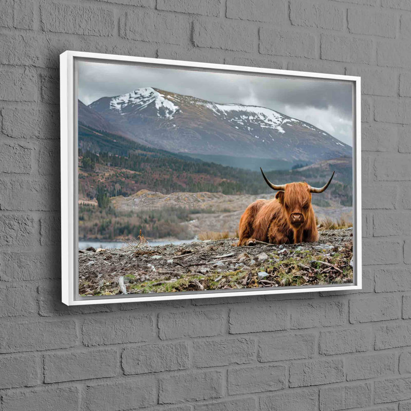Art sur toile de coton tropical, Highland, H 45 po x l 65 po, Cadre flottant blanc