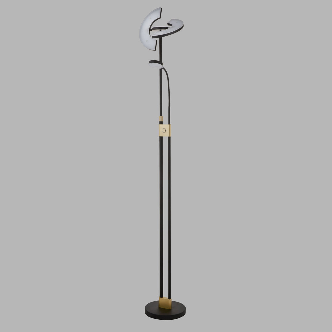 Rianne 210cm LED Novelty Floor Lamp