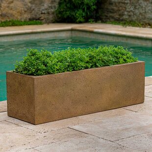 https://assets.wfcdn.com/im/60023160/resize-h310-w310%5Ecompr-r85/1829/182971612/Handmade+Concrete+Planter+Box.jpg